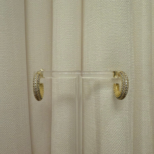 Iced Out Hoops